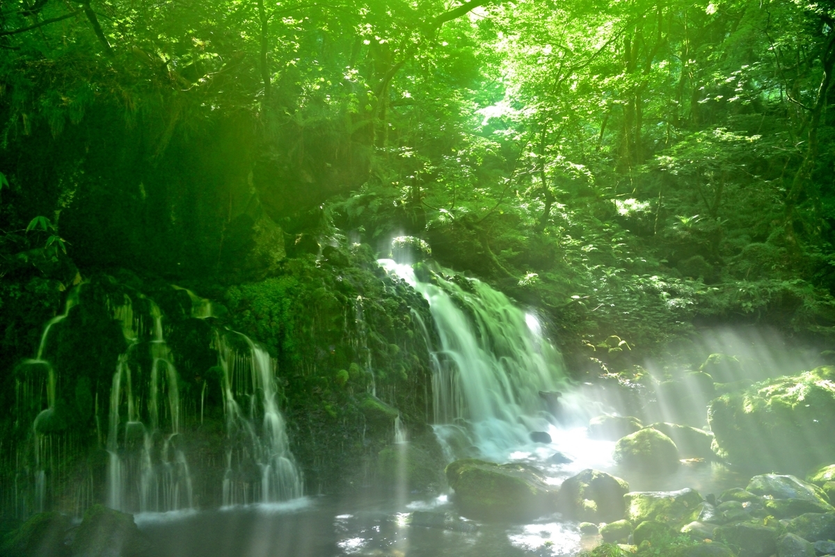 f:id:psato7:20200904074224j:plain