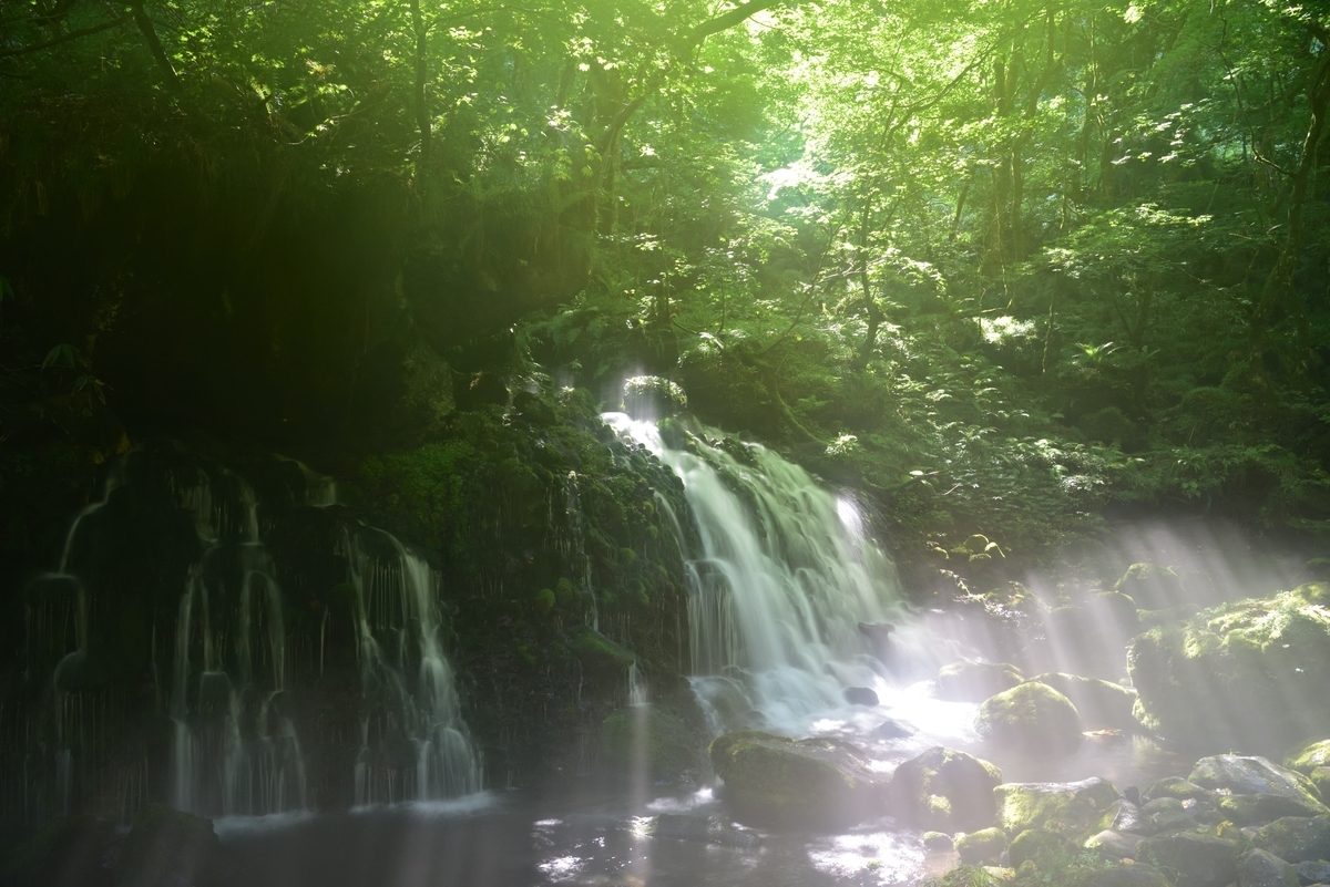 f:id:psato7:20200904074314j:plain