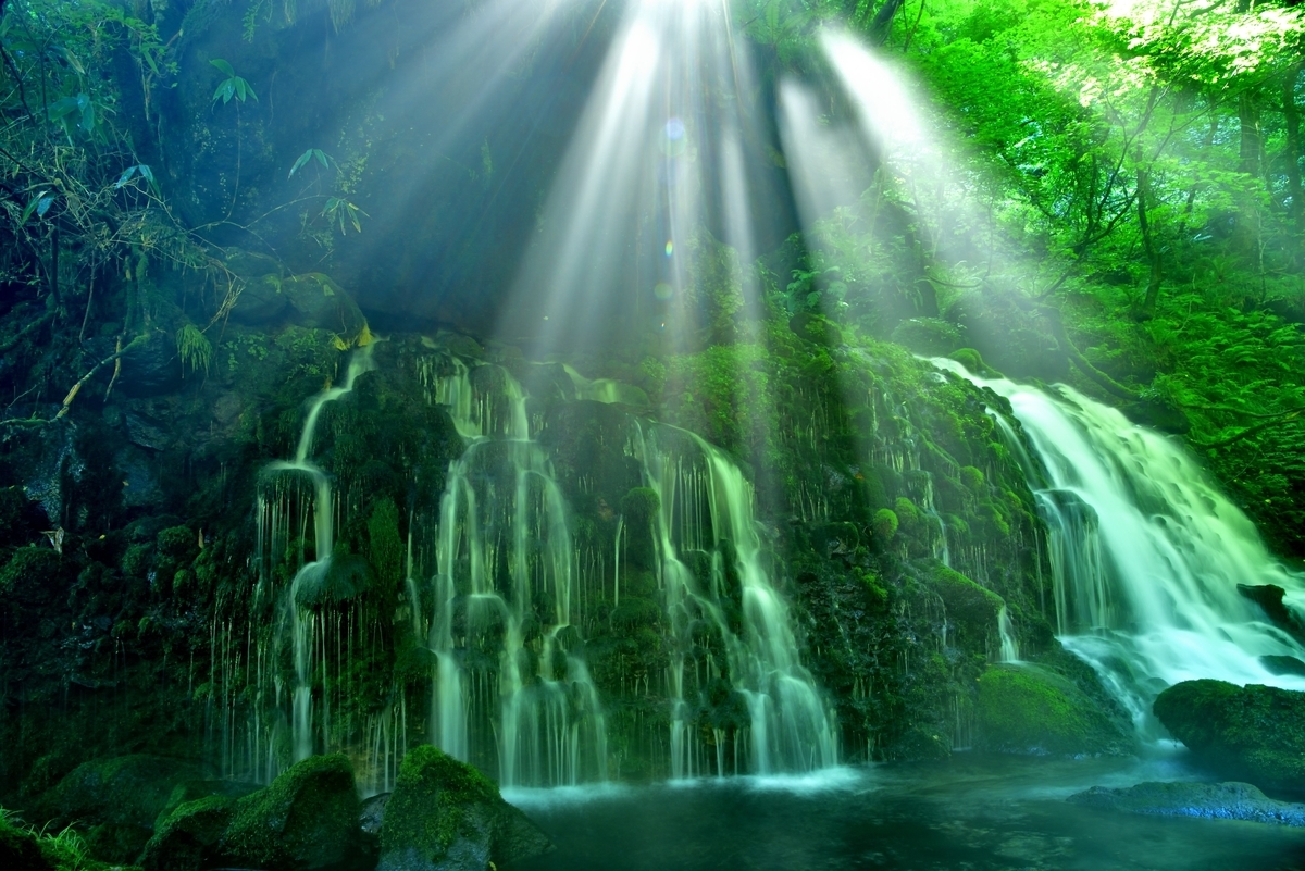 f:id:psato7:20200904074537j:plain