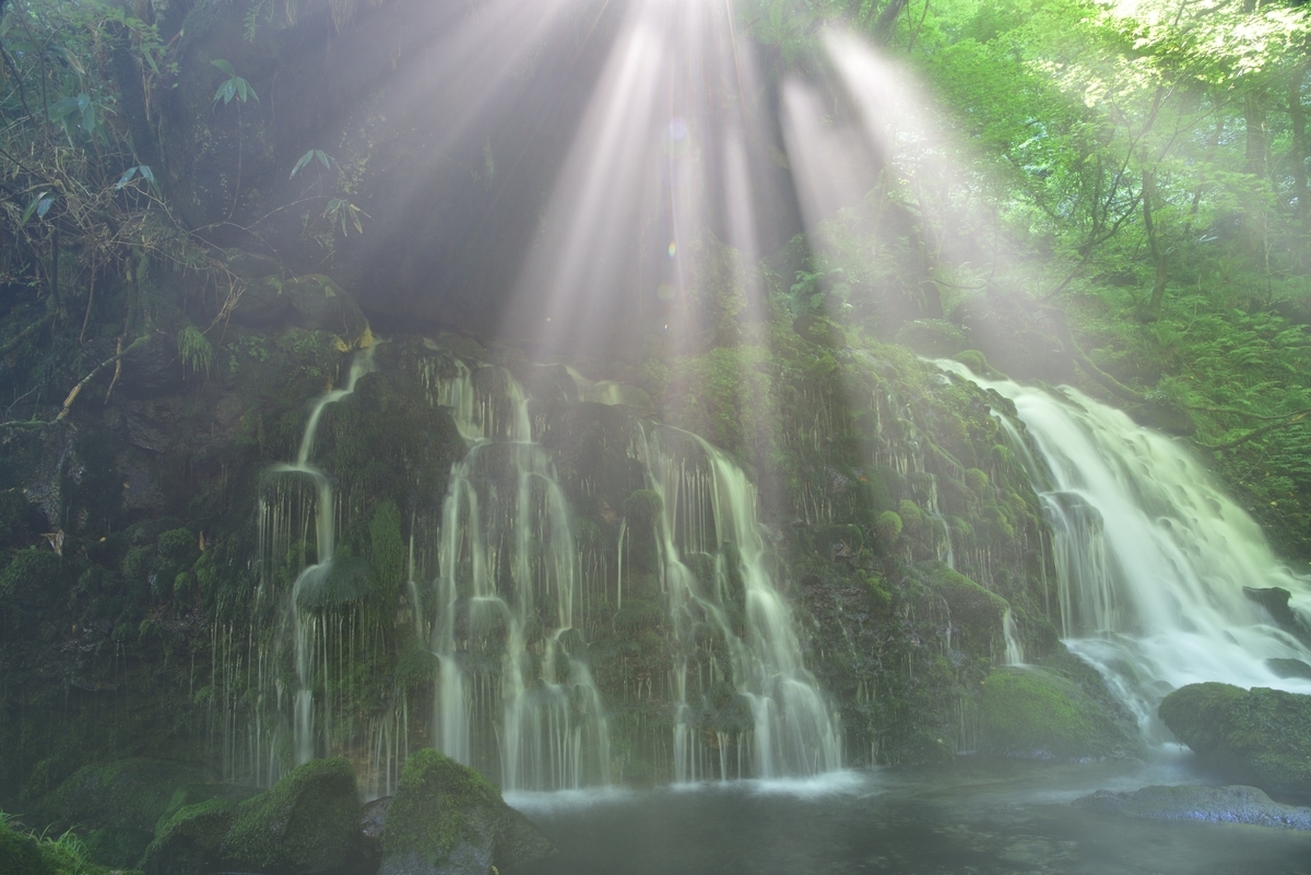 f:id:psato7:20200904074625j:plain