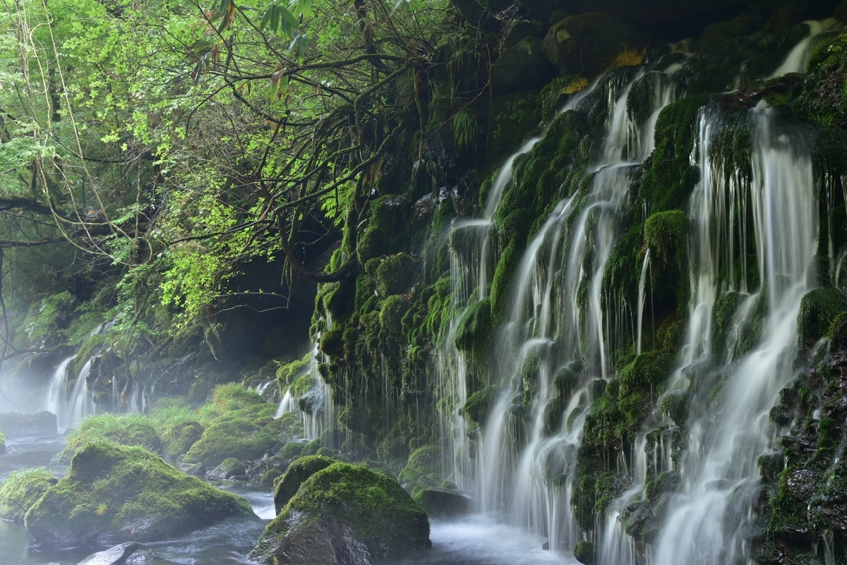 f:id:psato7:20200904075245j:plain