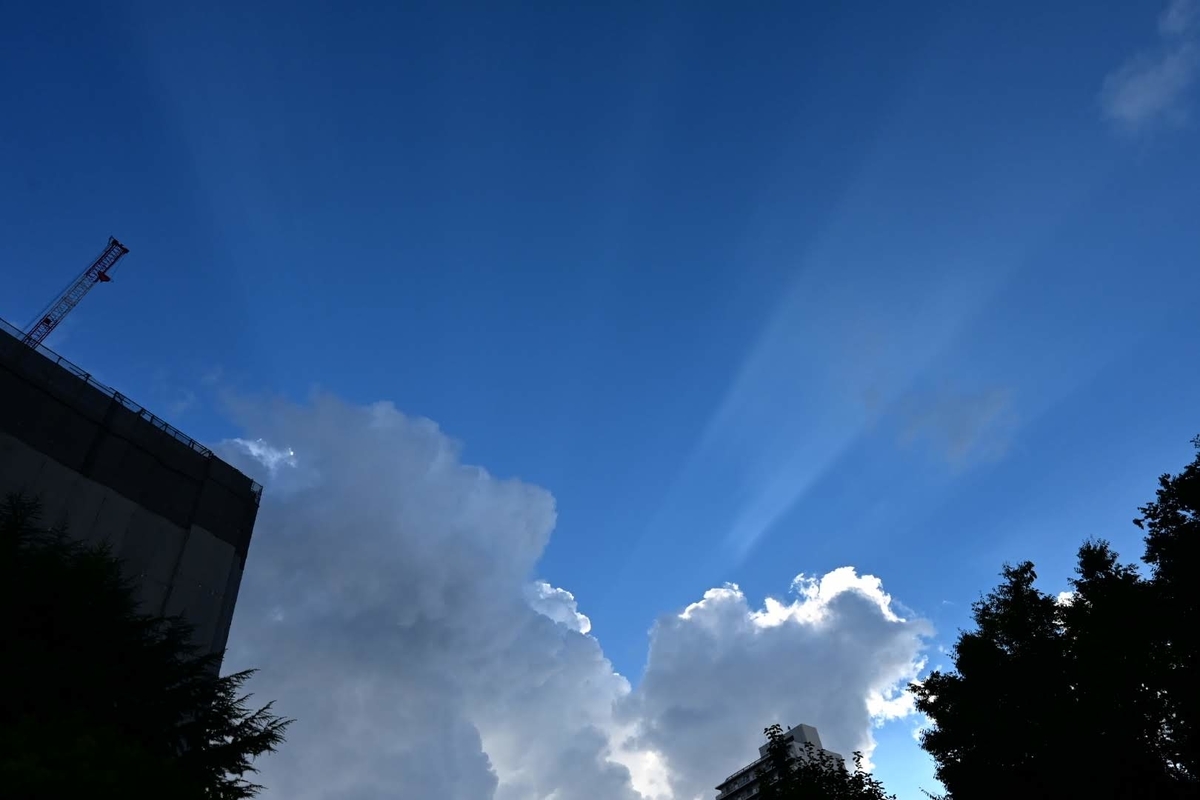 f:id:psato7:20200907074950j:plain