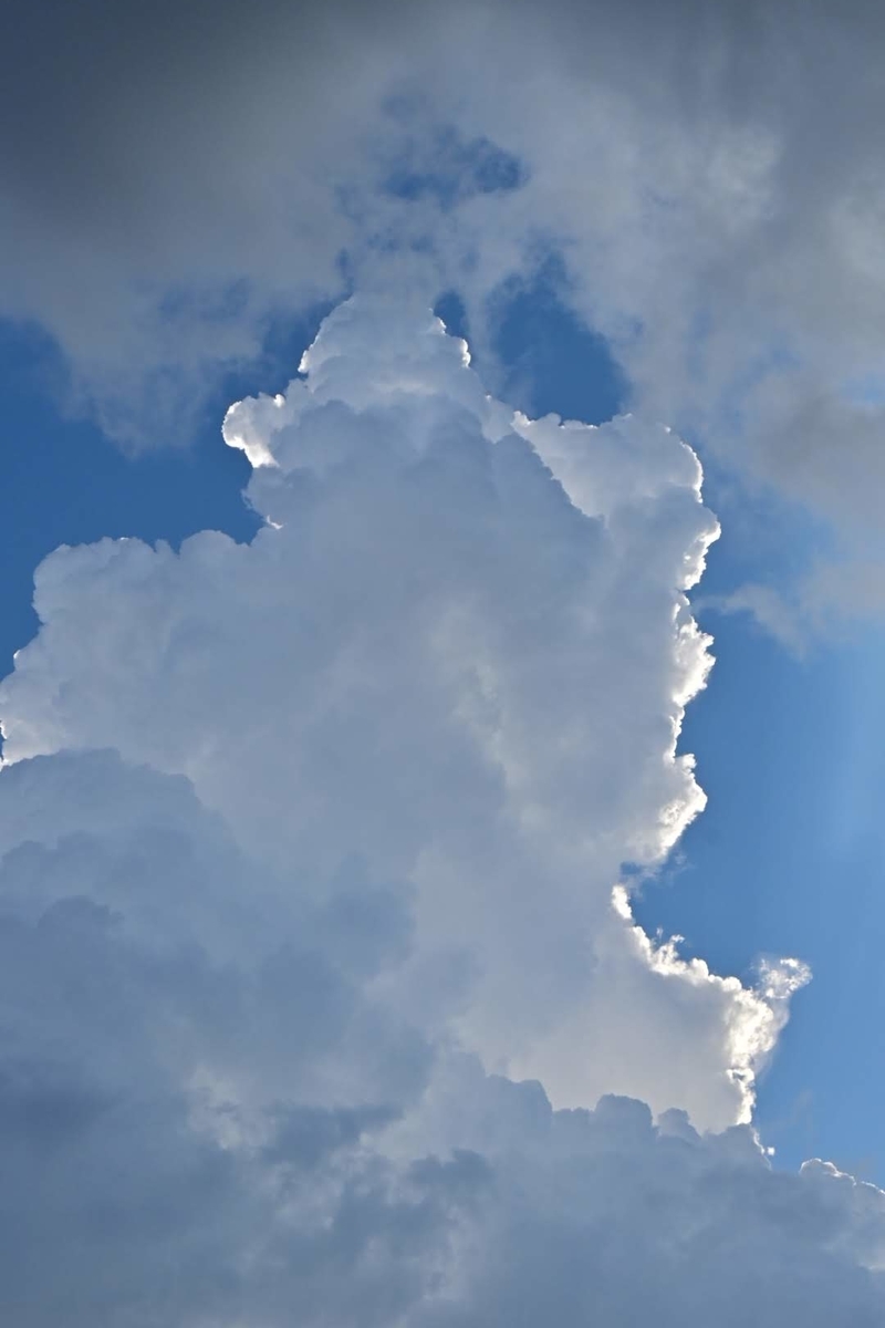 f:id:psato7:20200907075042j:plain