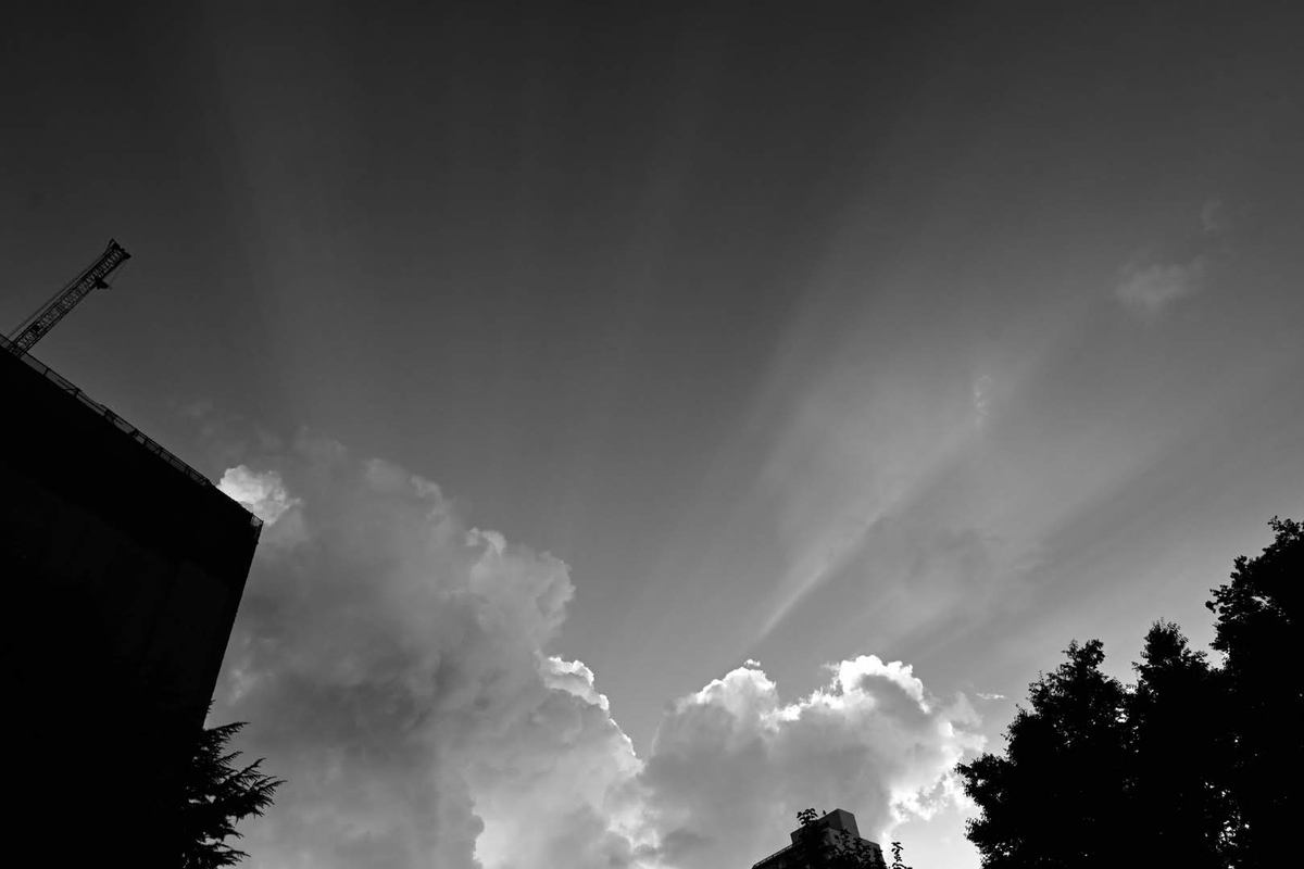 f:id:psato7:20200907075145j:plain