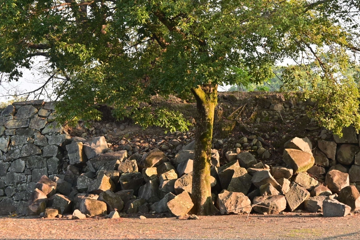 f:id:psato7:20200913144621j:plain