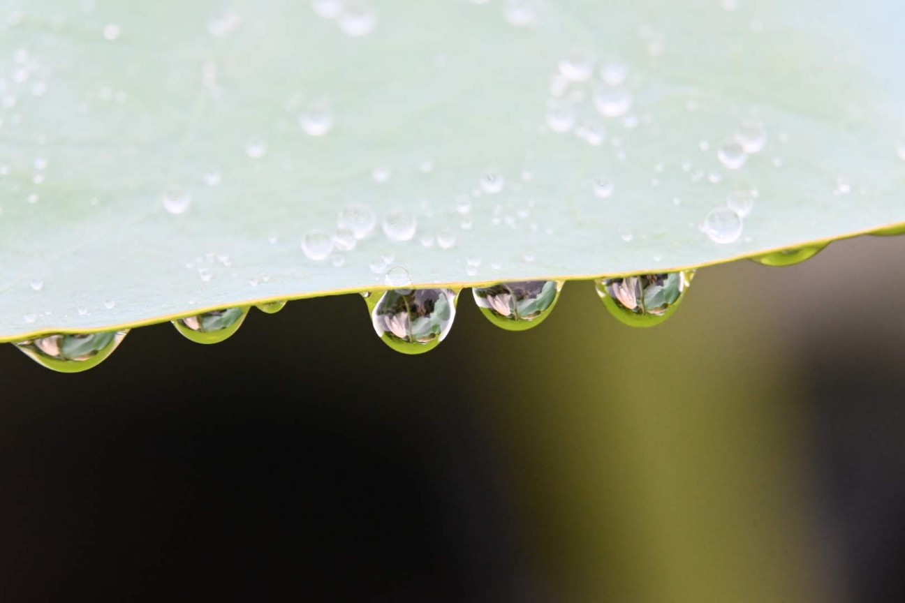 f:id:psato7:20200914123746j:image