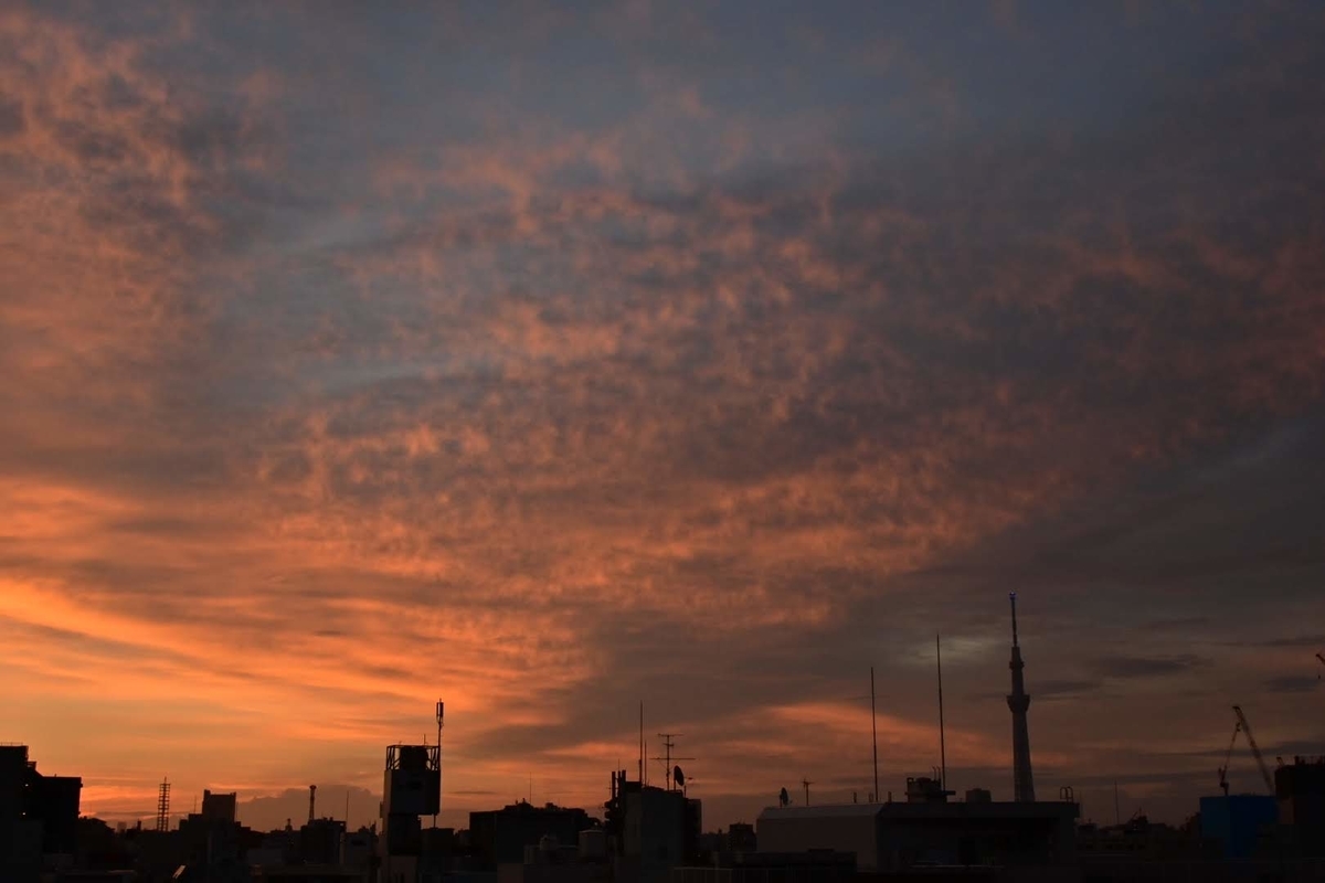f:id:psato7:20200916072438j:plain