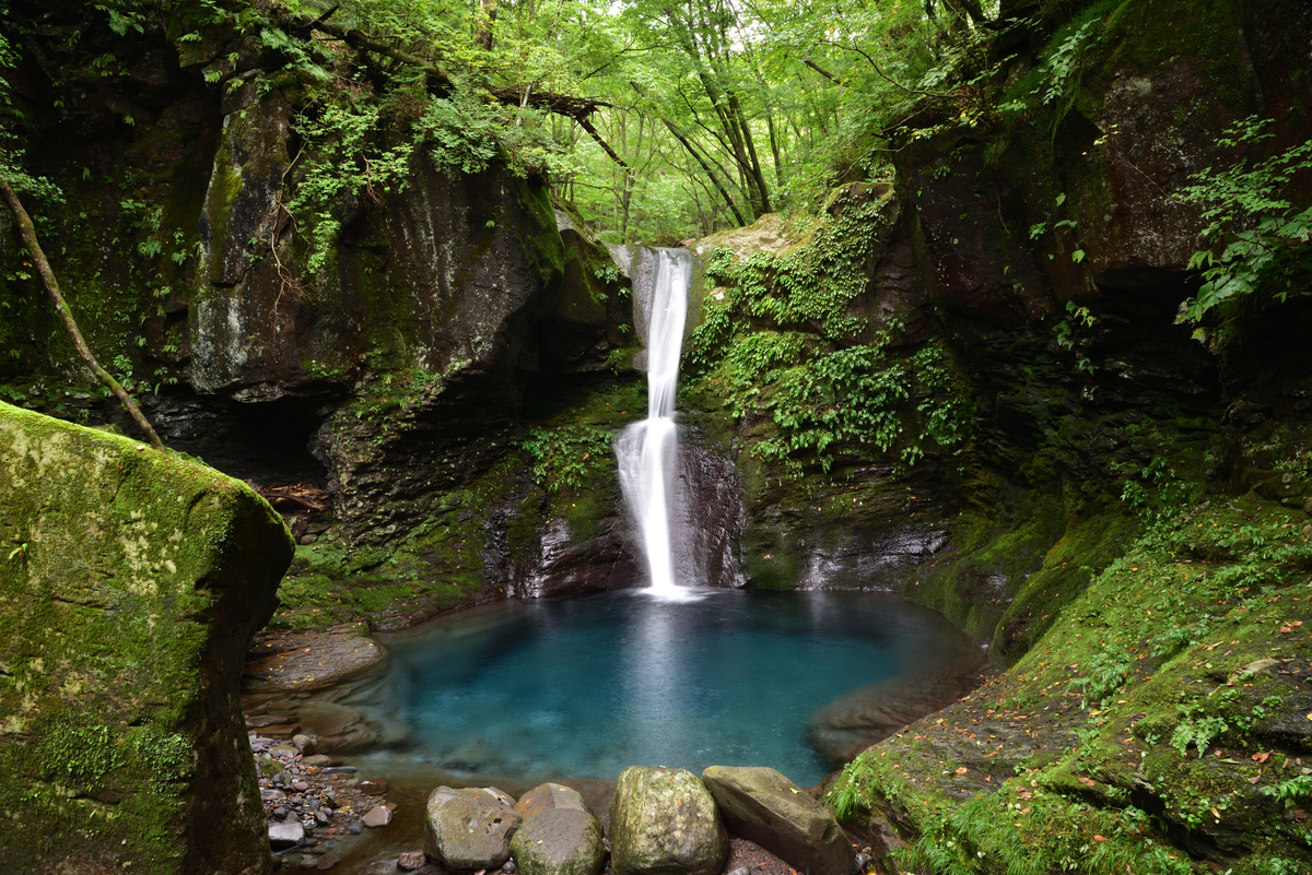 f:id:psato7:20200920044006j:plain