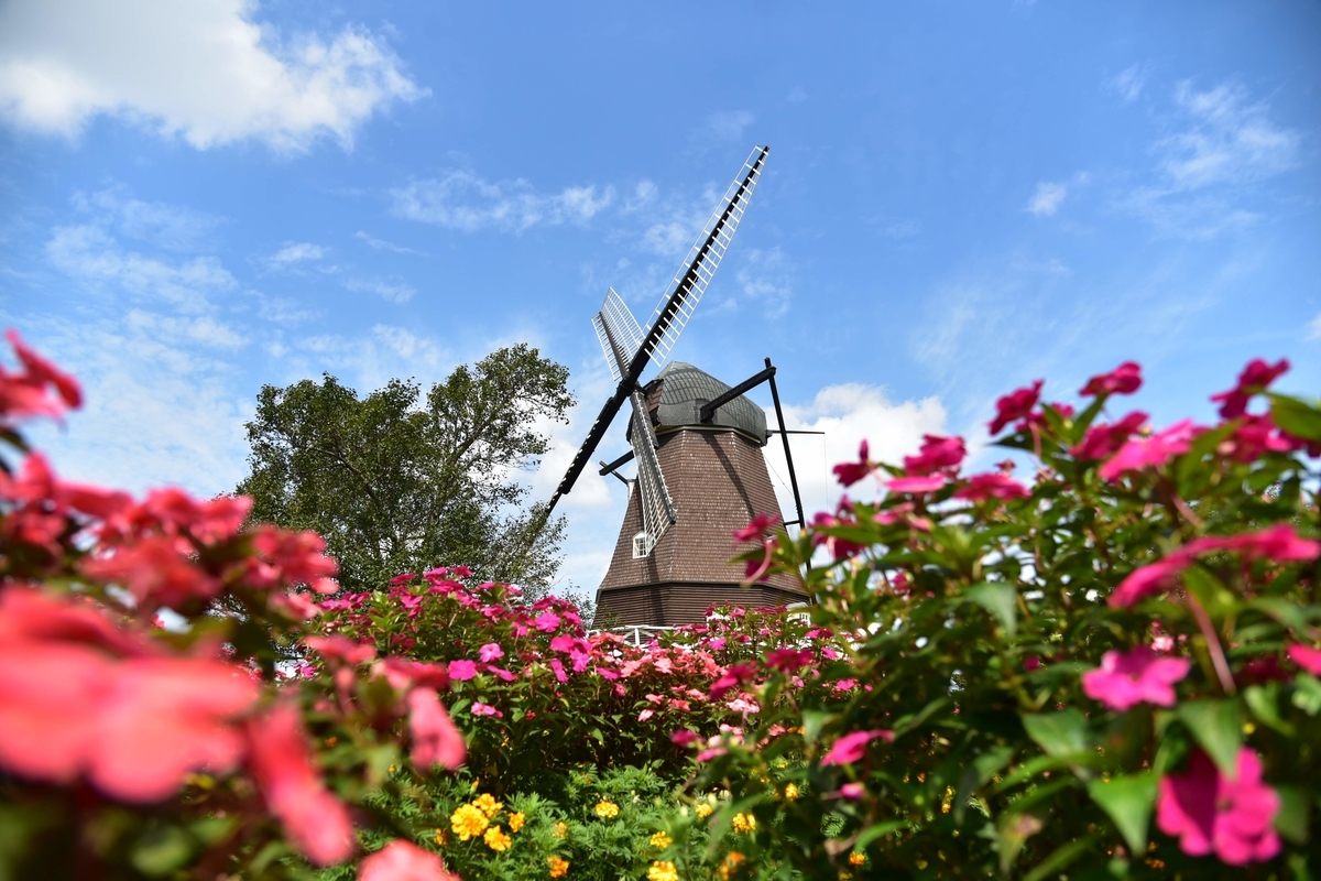 🌻ふなばしアンデルセン公園に行ってきました🌞 - photo & hobby