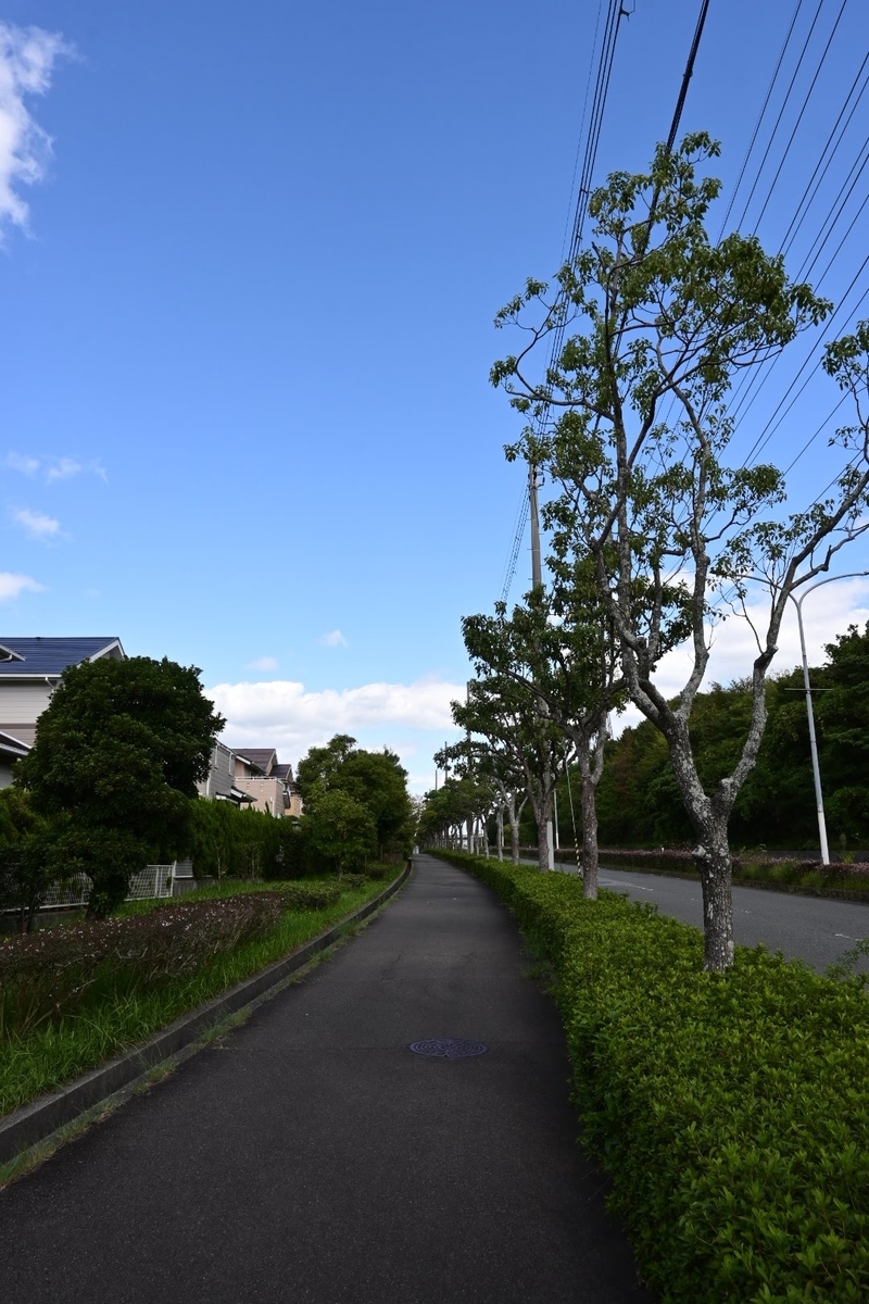 f:id:psato7:20201009072541j:plain