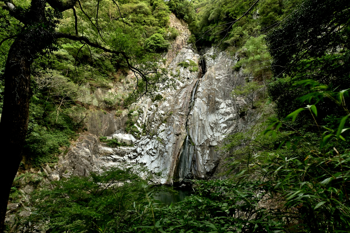 f:id:psato7:20201012205128j:plain