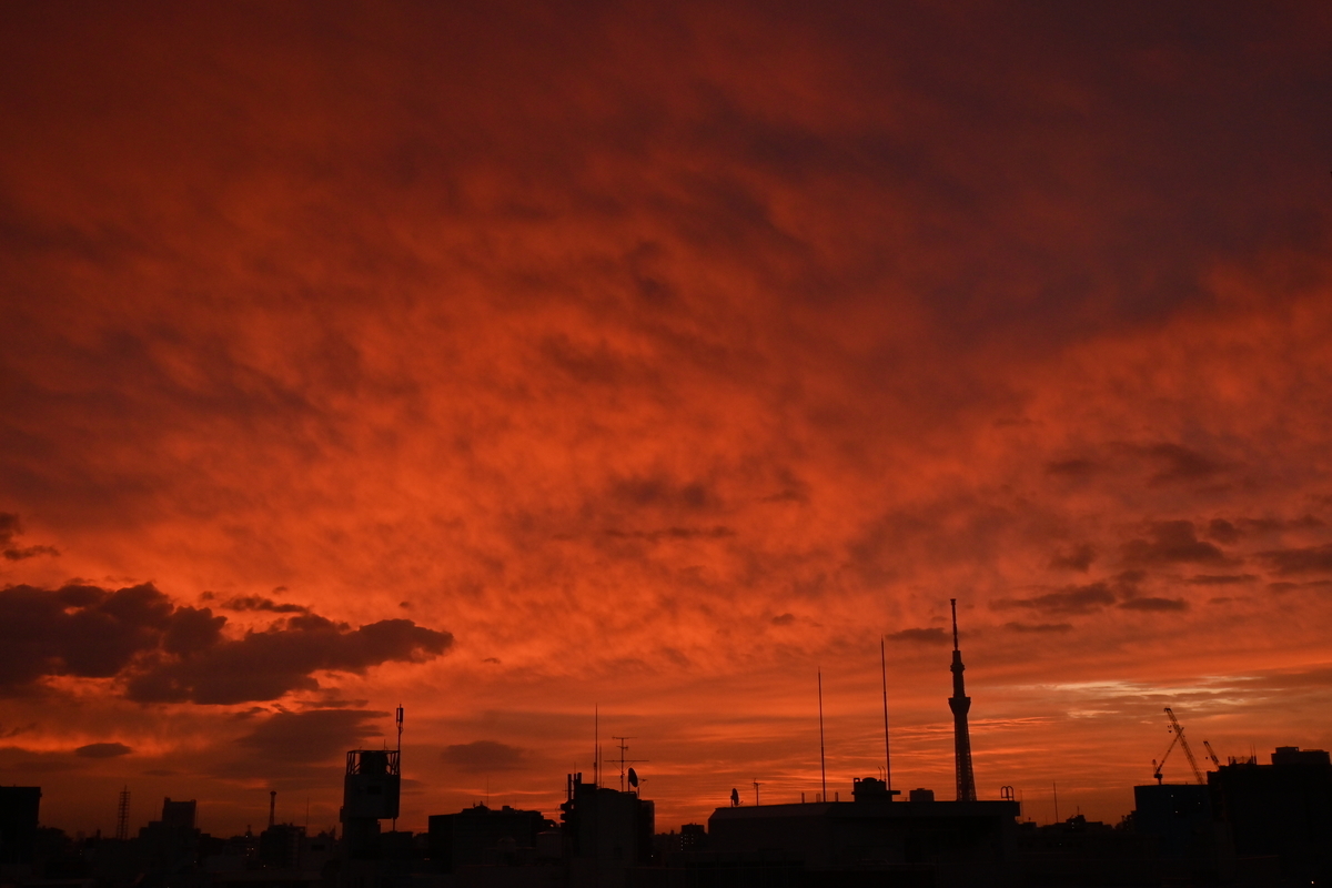 f:id:psato7:20201022070013j:plain