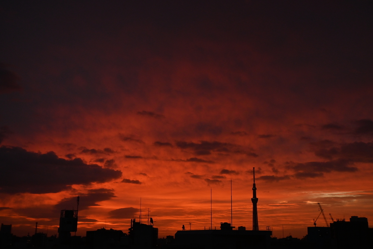 f:id:psato7:20201022070046j:plain