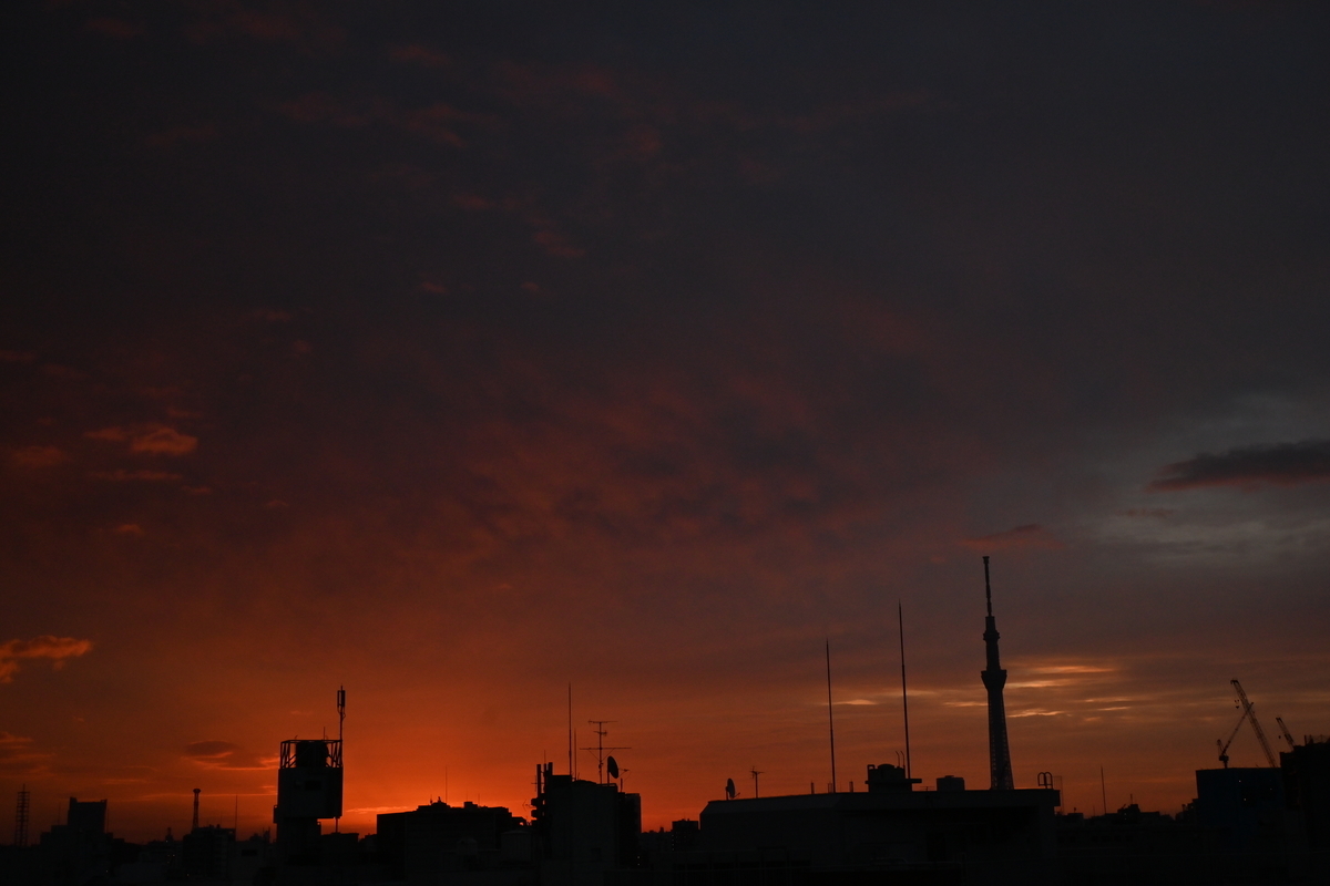 f:id:psato7:20201022071505j:plain