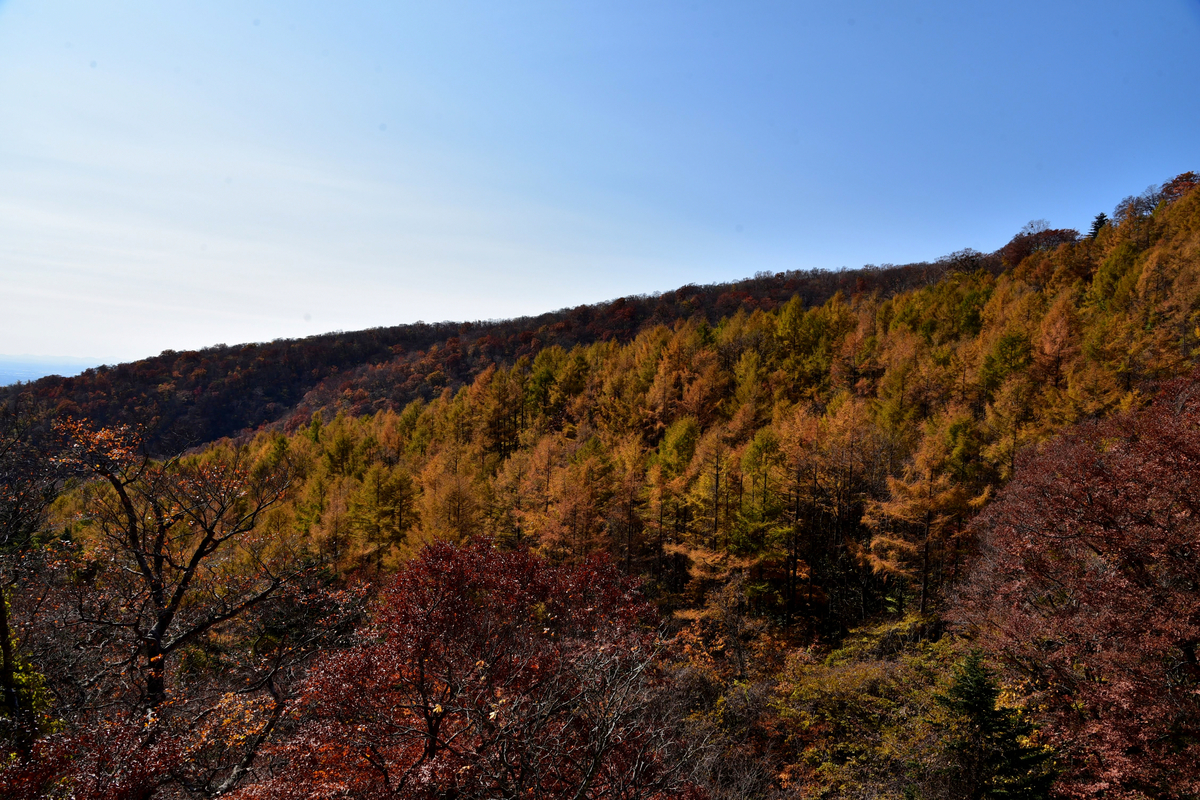 f:id:psato7:20201102210357j:plain