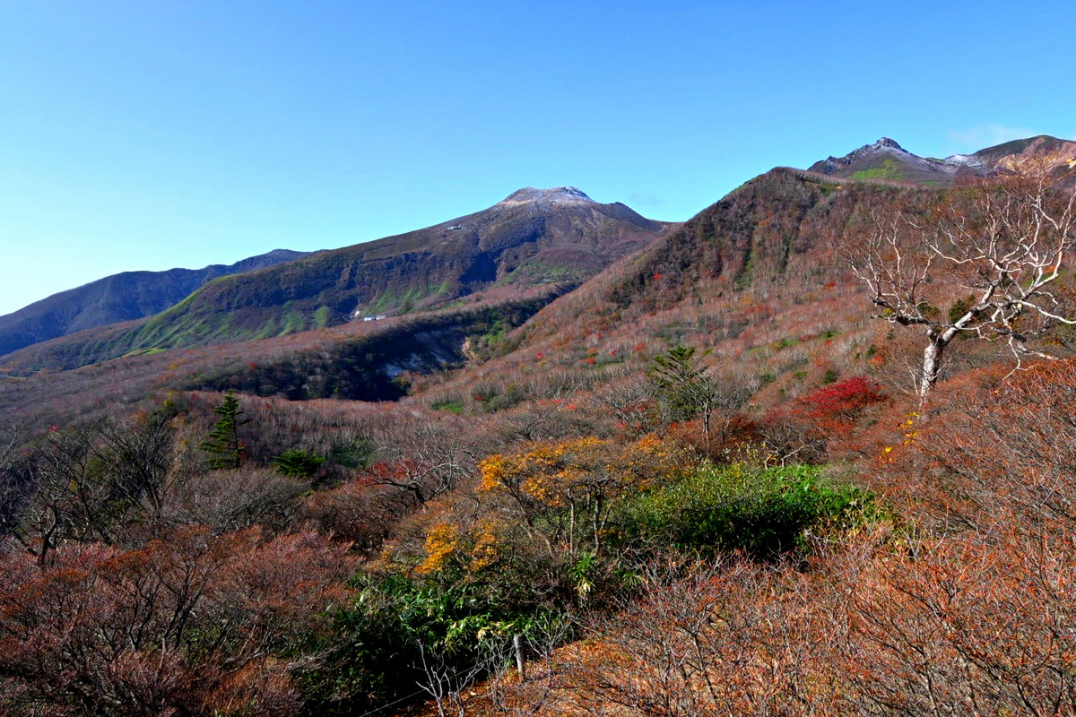 f:id:psato7:20201102211643j:plain