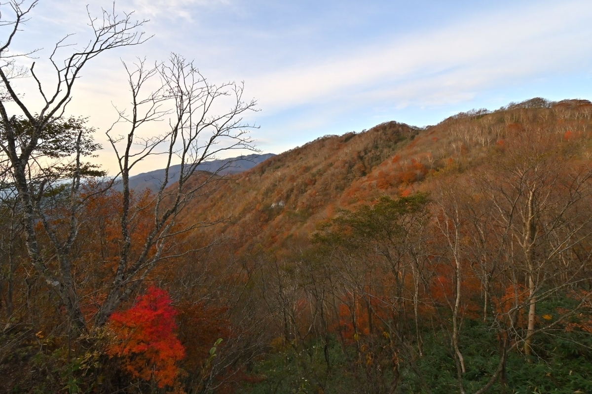 f:id:psato7:20201103170443j:plain f:id:psato7:20201103170443j:plain
