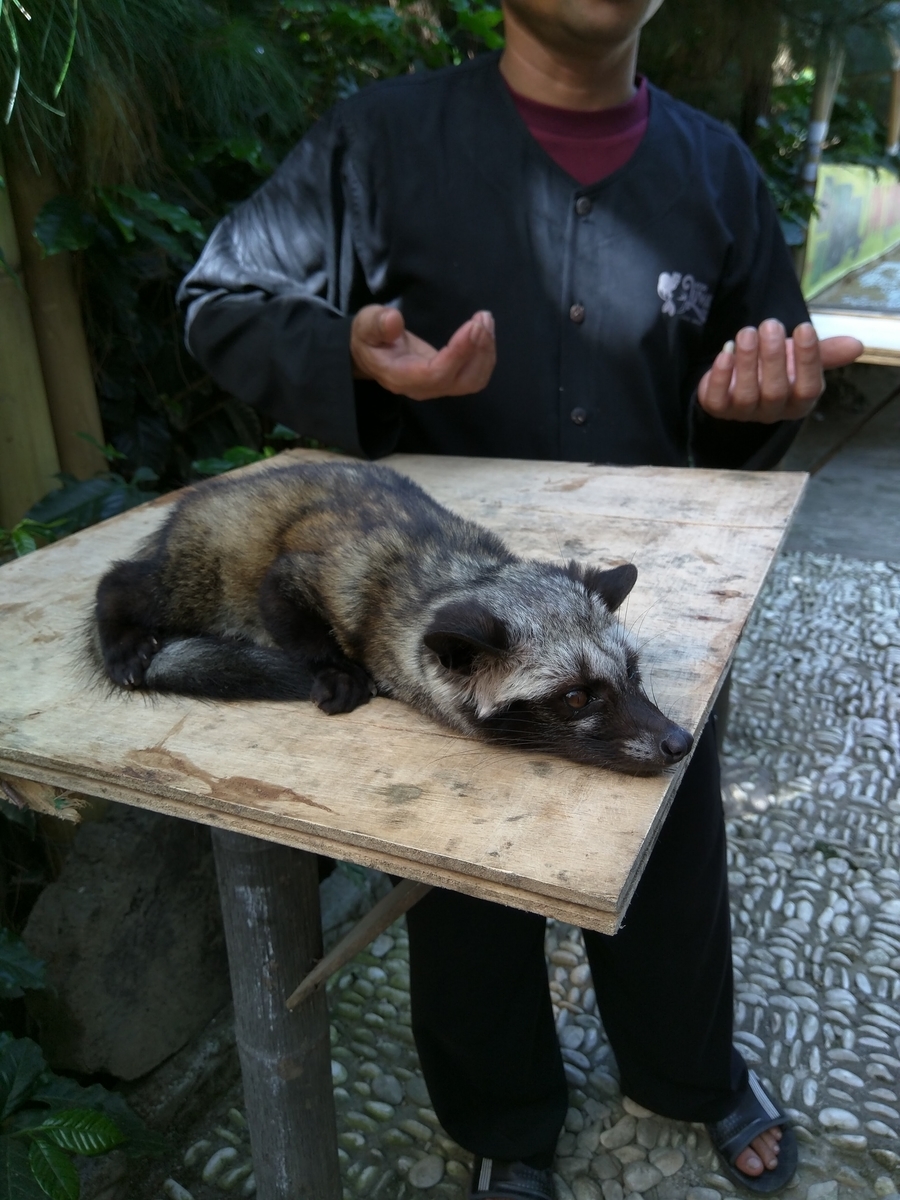 f:id:psato7:20201104204620j:plain f:id:psato7:20201104204620j:plain
