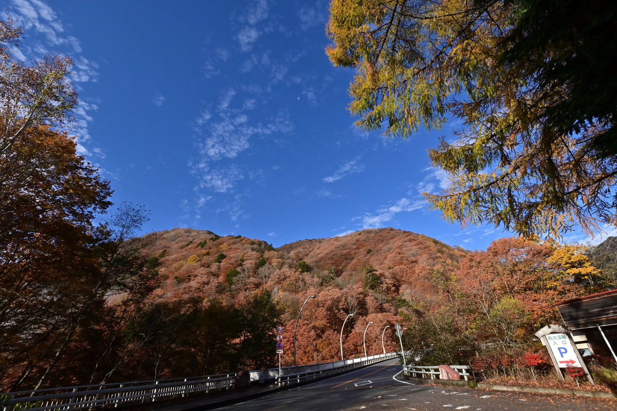 f:id:psato7:20201109192315j:plain