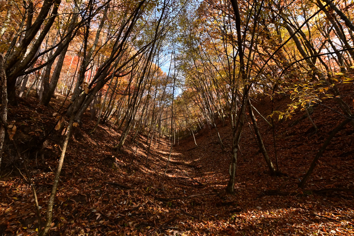 f:id:psato7:20201109192923j:plain