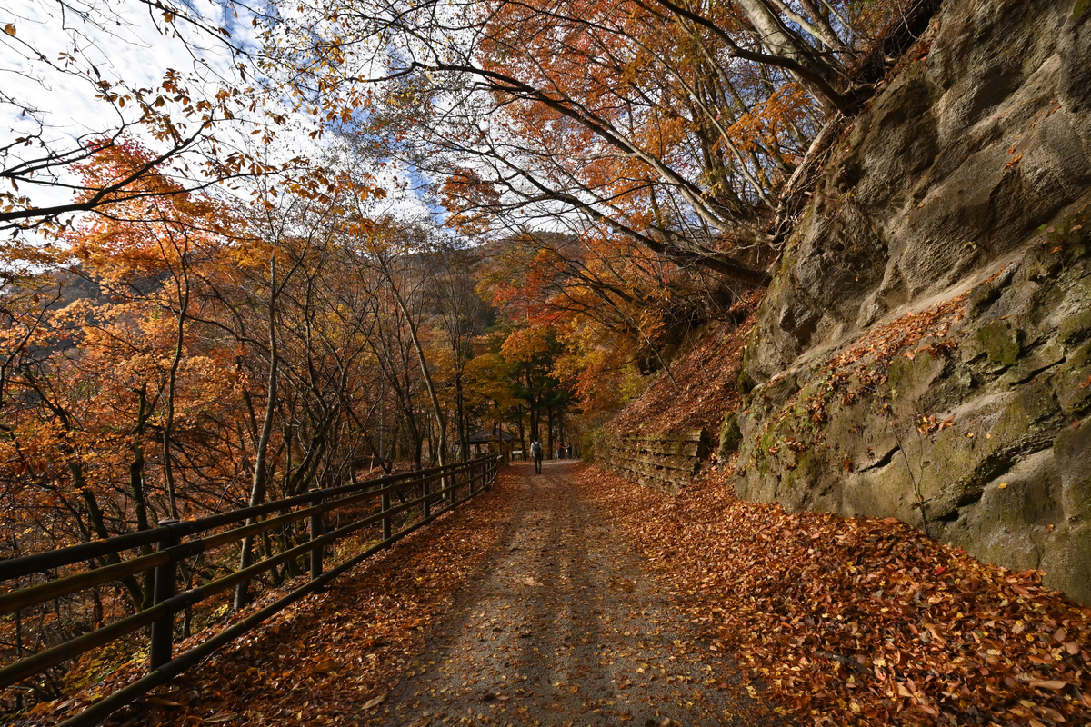 f:id:psato7:20201109193622j:plain