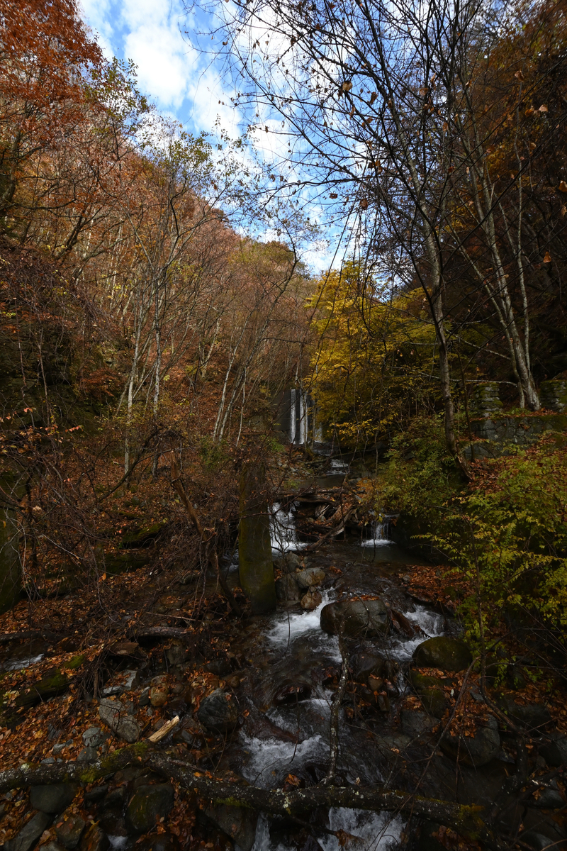 f:id:psato7:20201109193747j:plain