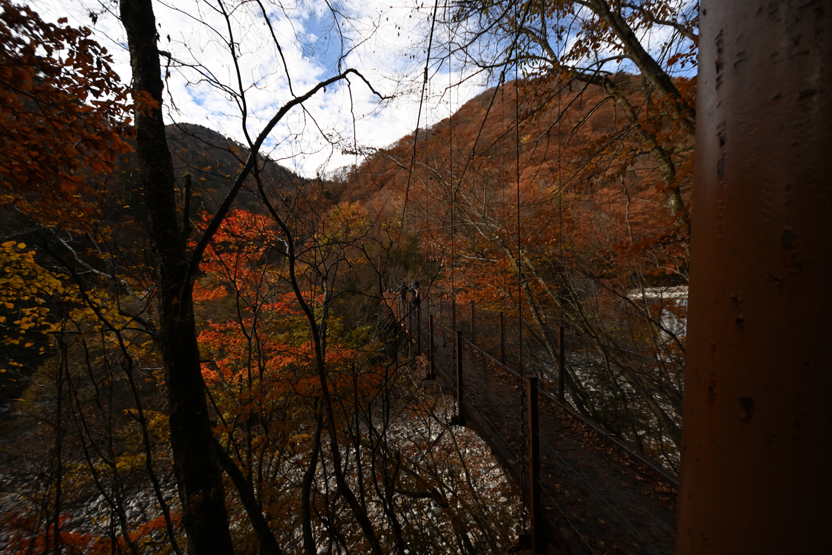 f:id:psato7:20201109193835j:plain