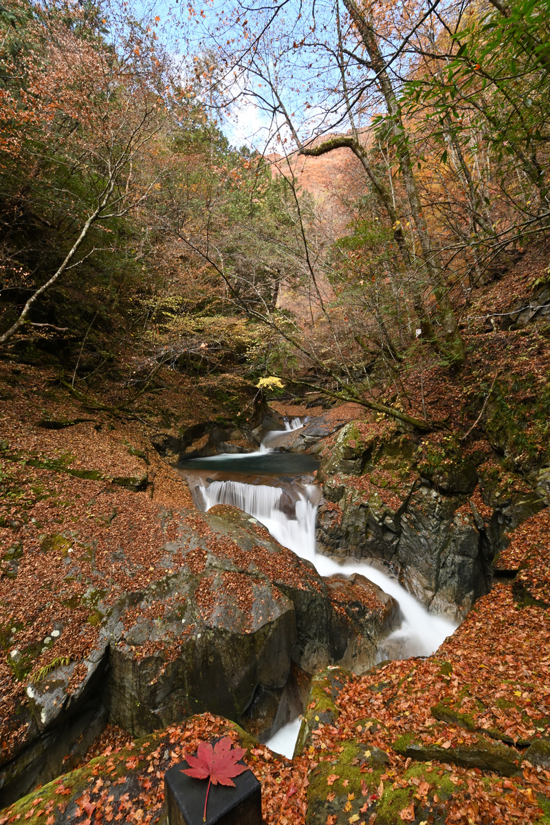 f:id:psato7:20201109194348j:plain