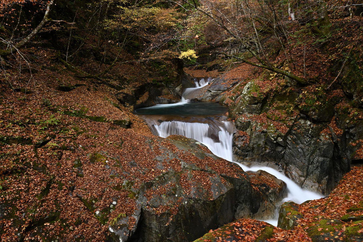 f:id:psato7:20201109194405j:plain