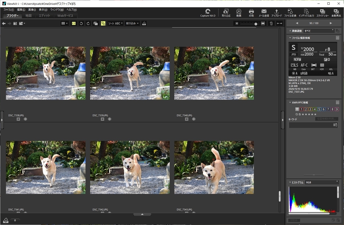 f:id:psato7:20201118052504j:plain