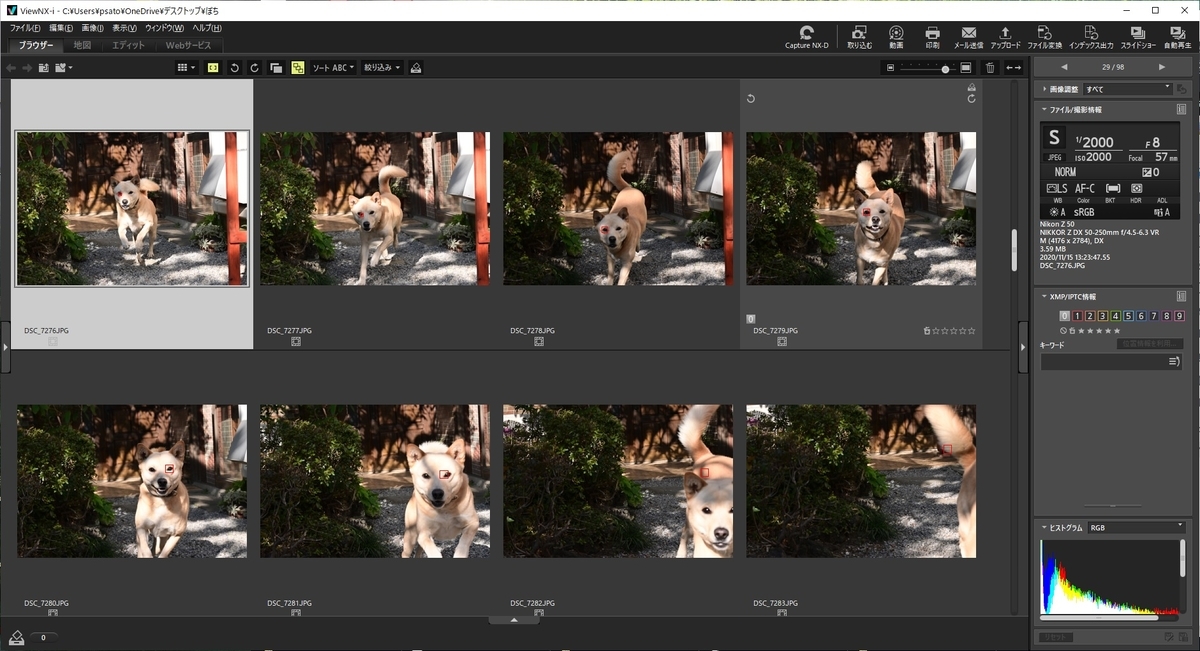 f:id:psato7:20201118053410j:plain