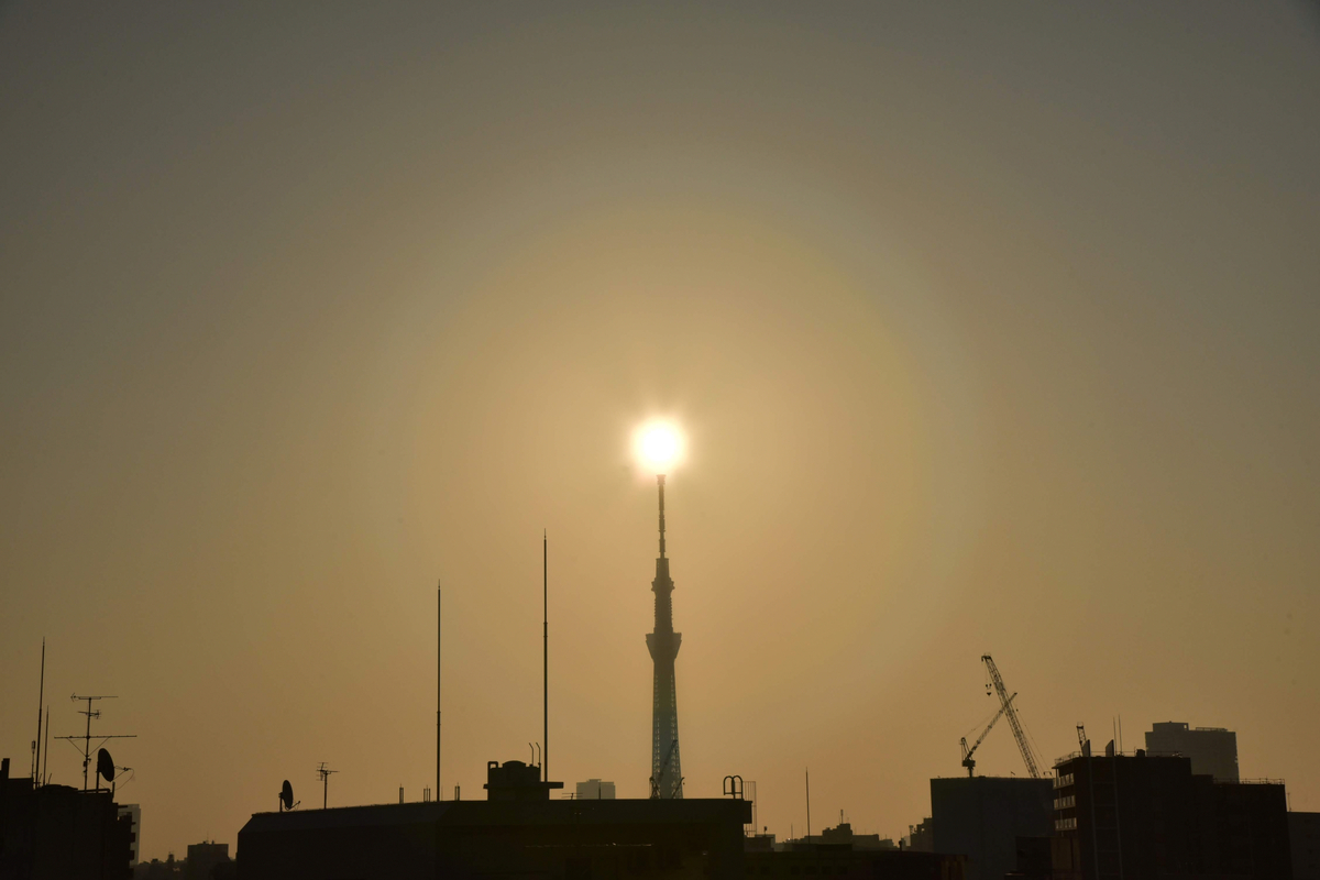 f:id:psato7:20201118123442j:plain