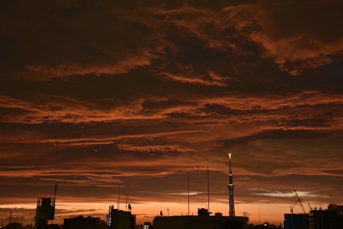 f:id:psato7:20201120070036j:plain