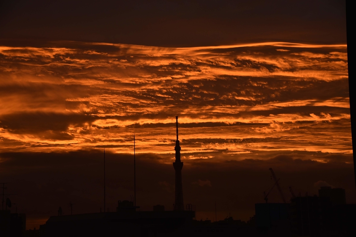 f:id:psato7:20201120071641j:plain