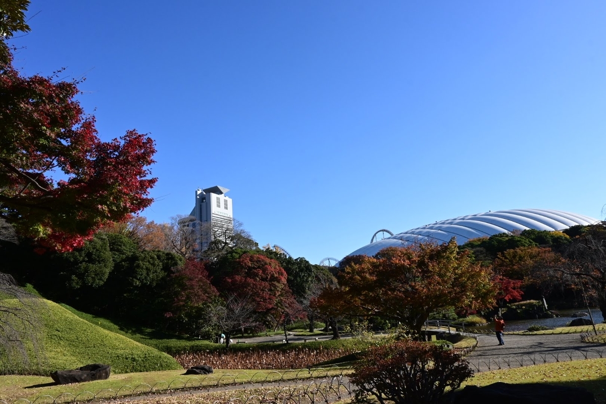 f:id:psato7:20201121201117j:plain