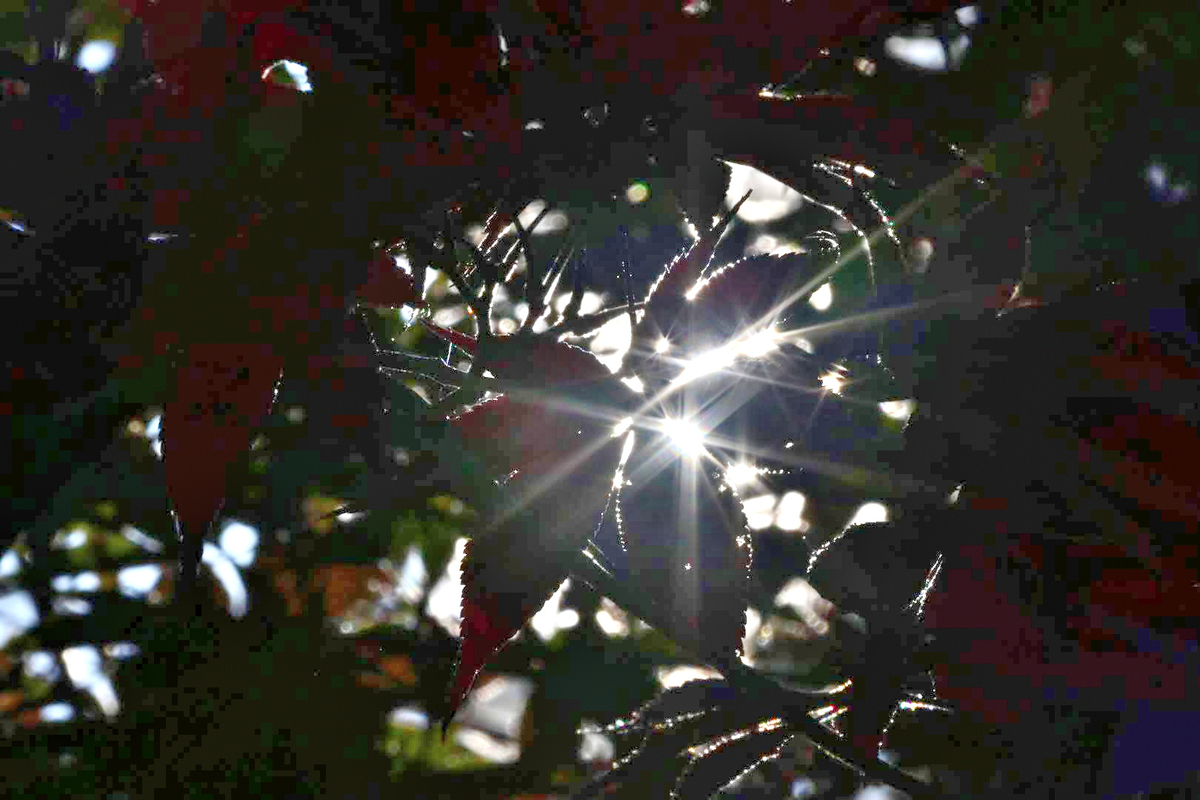 f:id:psato7:20201123140335j:plain