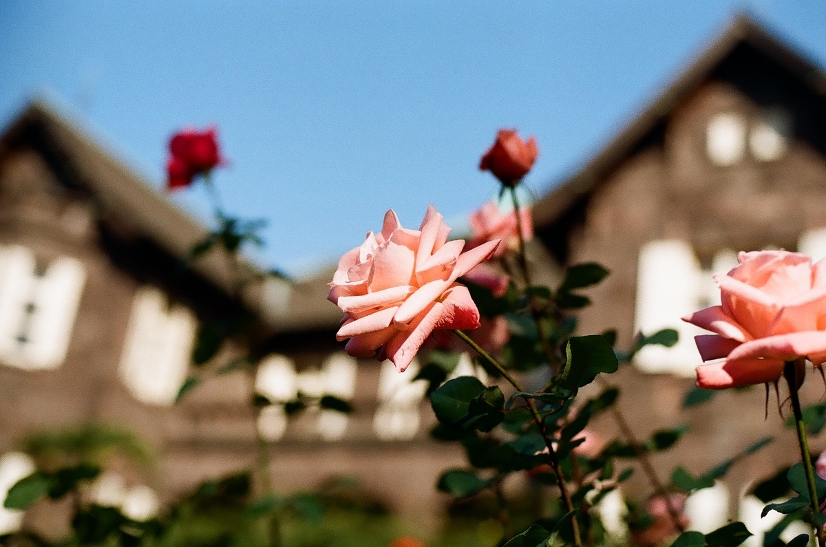 f:id:psato7:20201125050109j:plain