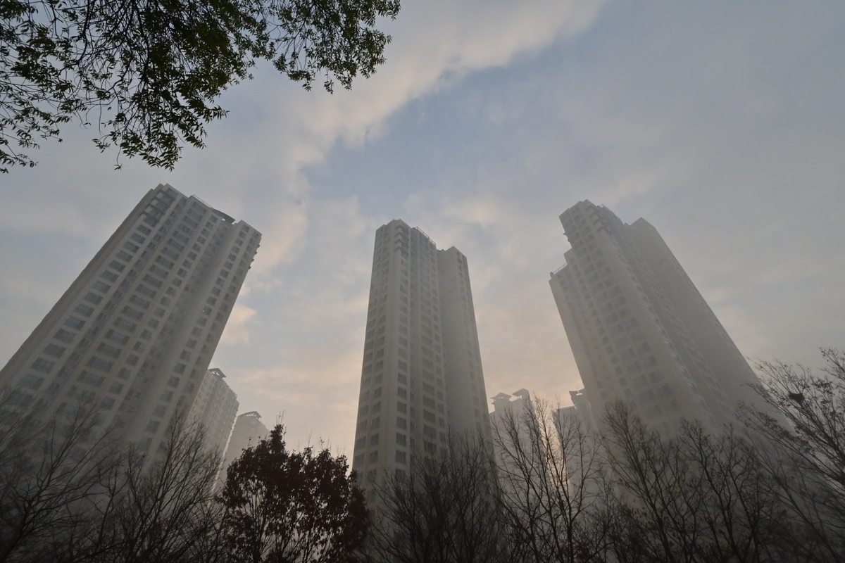 f:id:psato7:20201207051407j:plain