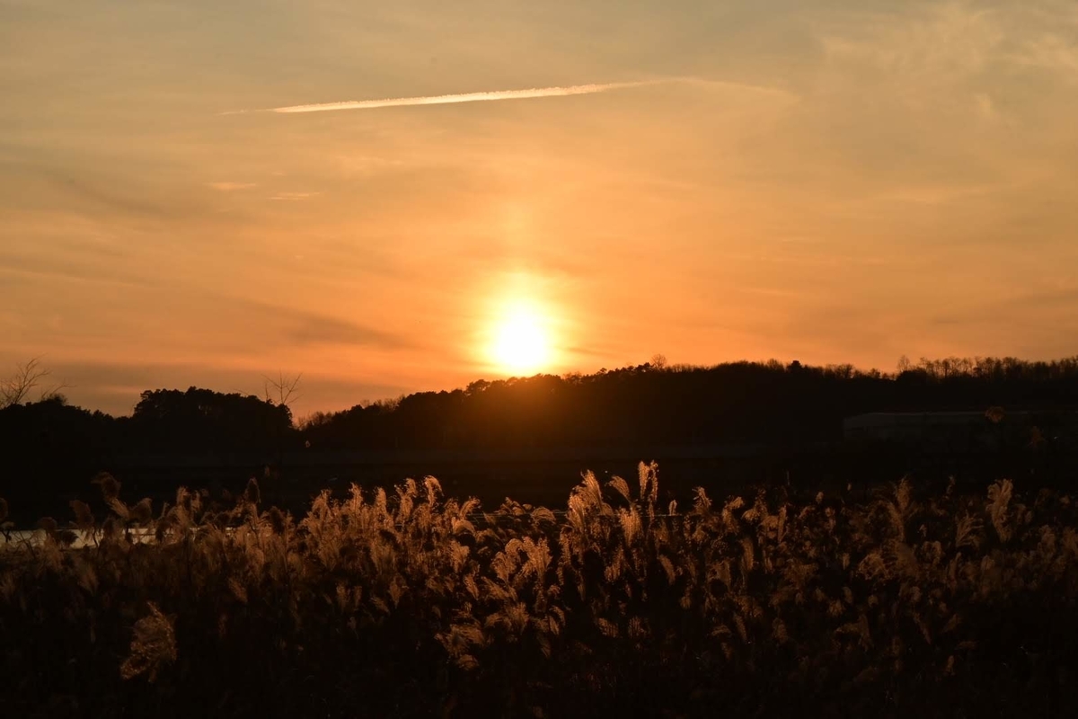 f:id:psato7:20201213100724j:plain