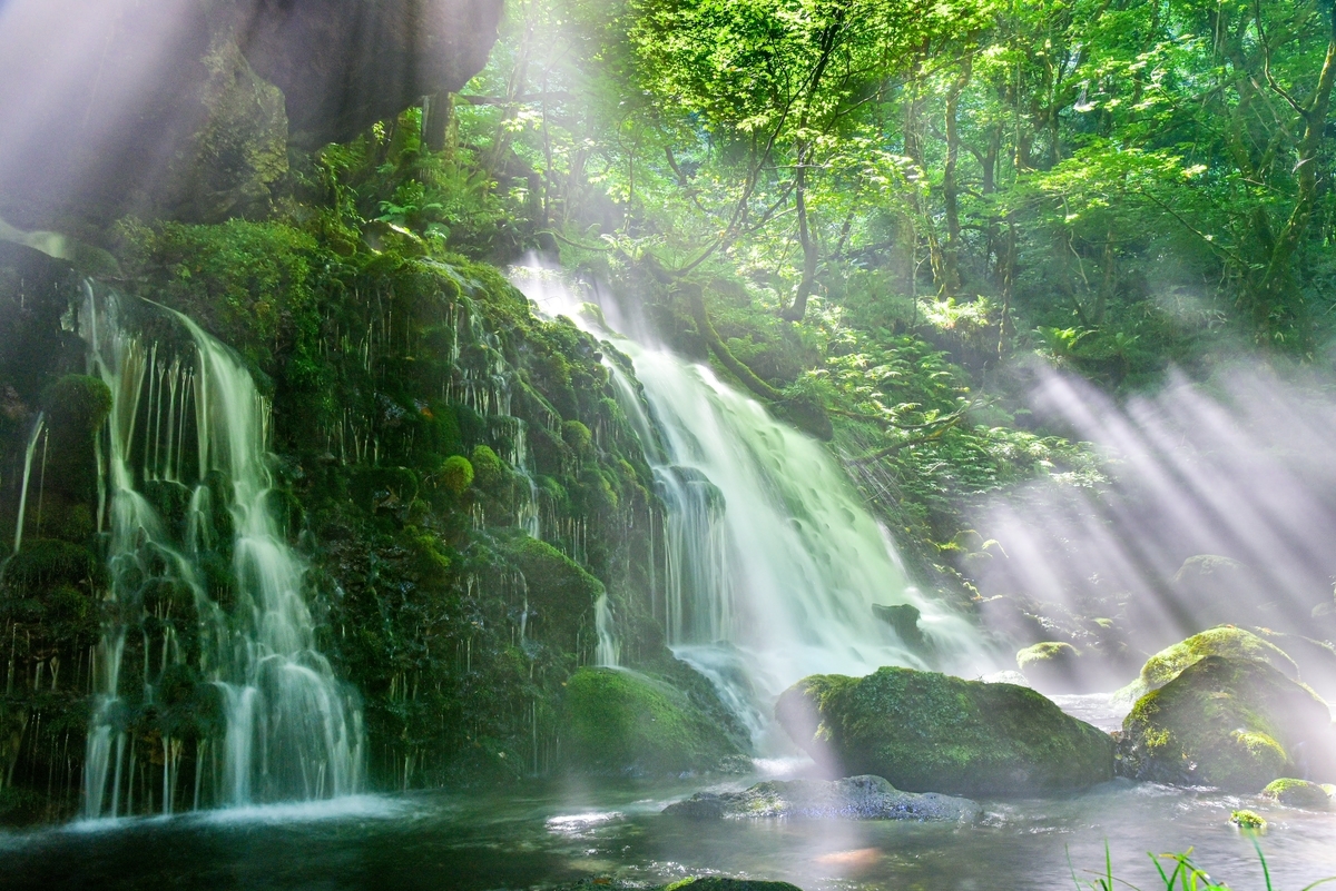 f:id:psato7:20201222201217j:plain