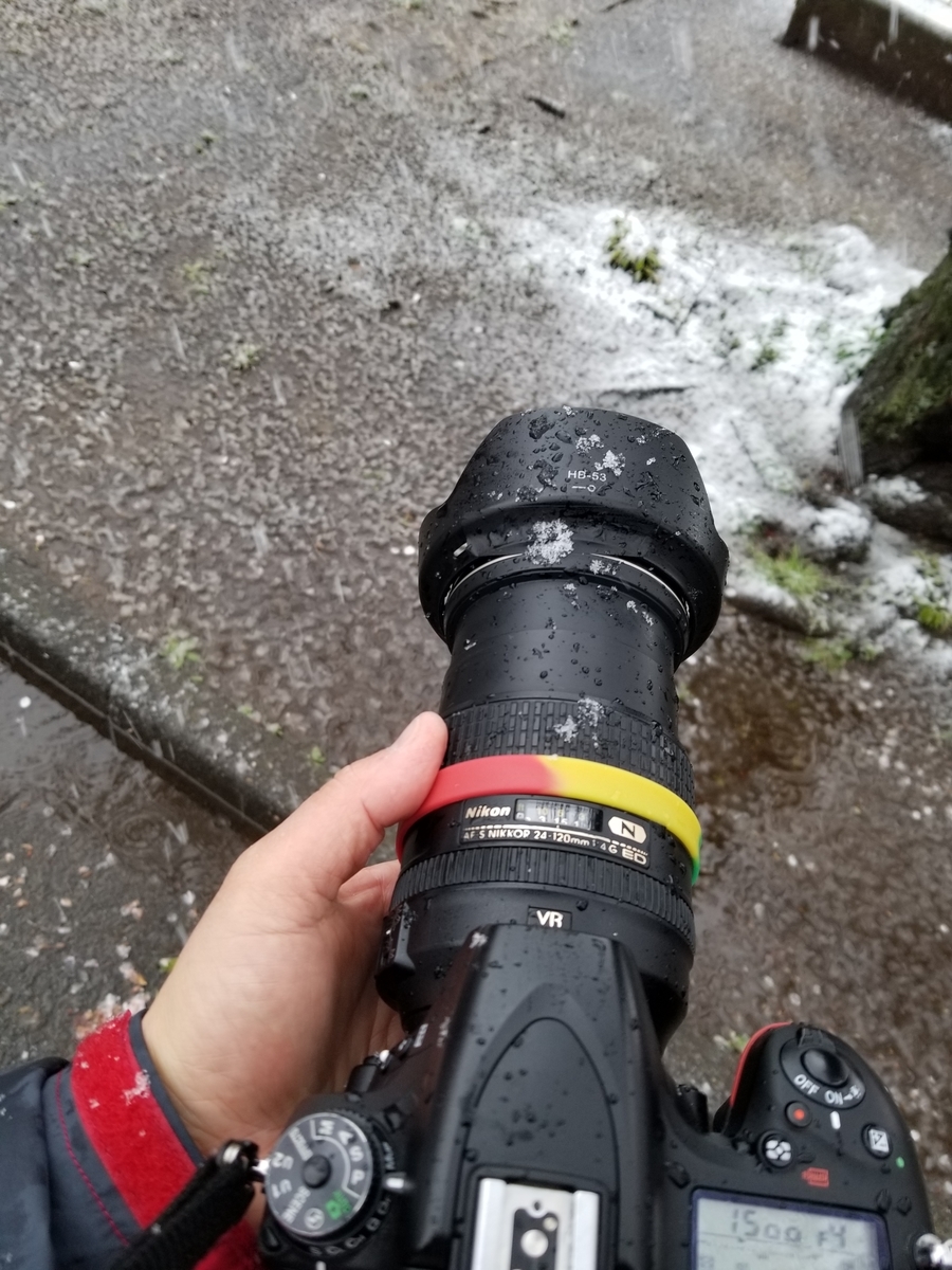 f:id:psato7:20201222201539j:plain