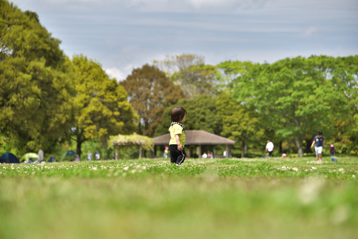 f:id:psato7:20201225054725j:plain