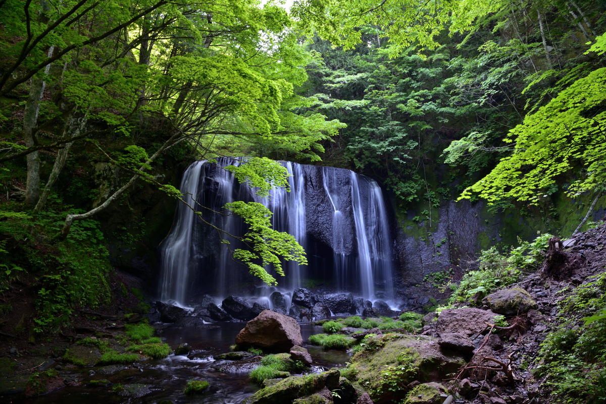 f:id:psato7:20201225071020j:plain