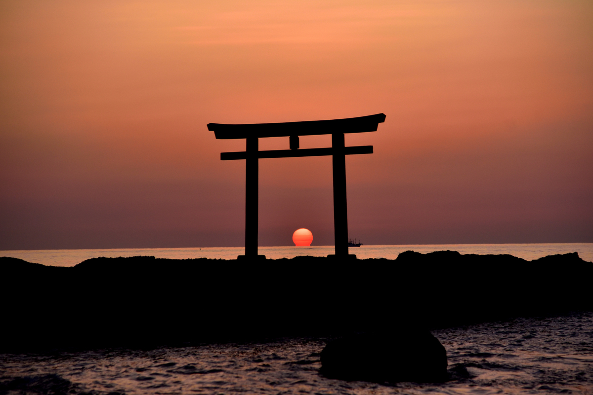 D750 ベストショット２０２０年 Photo Hobby