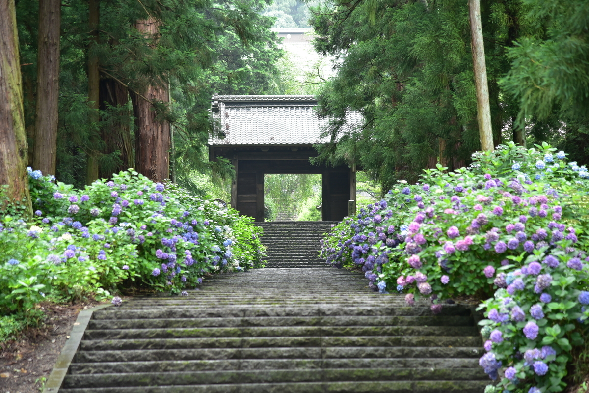 f:id:psato7:20201227140737j:plain