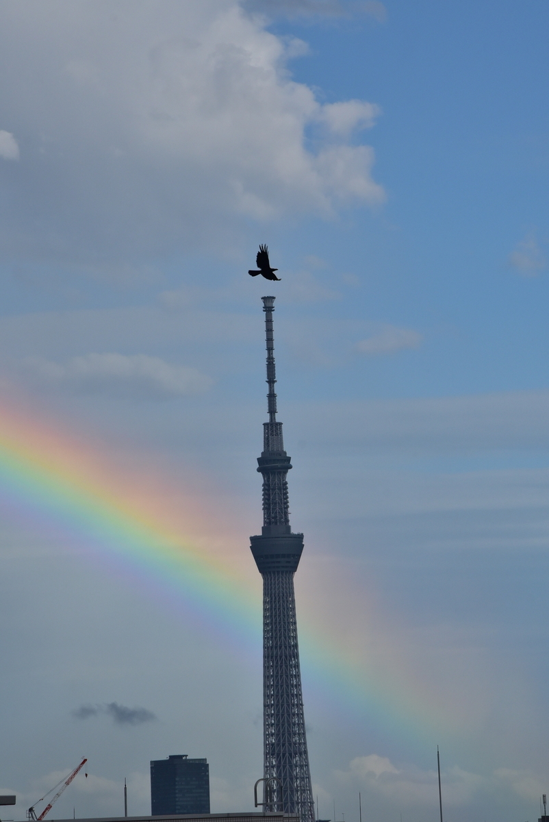 f:id:psato7:20201227204121j:plain