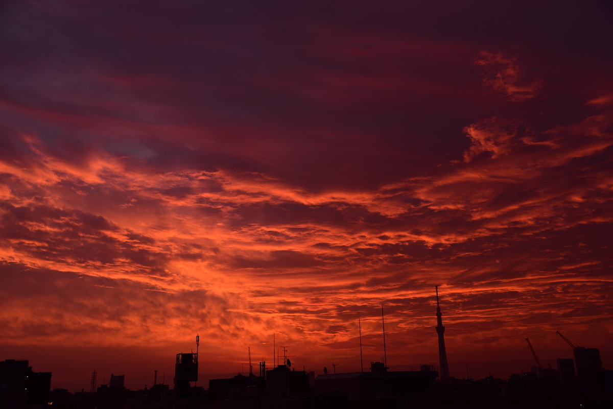 f:id:psato7:20201227204332j:plain