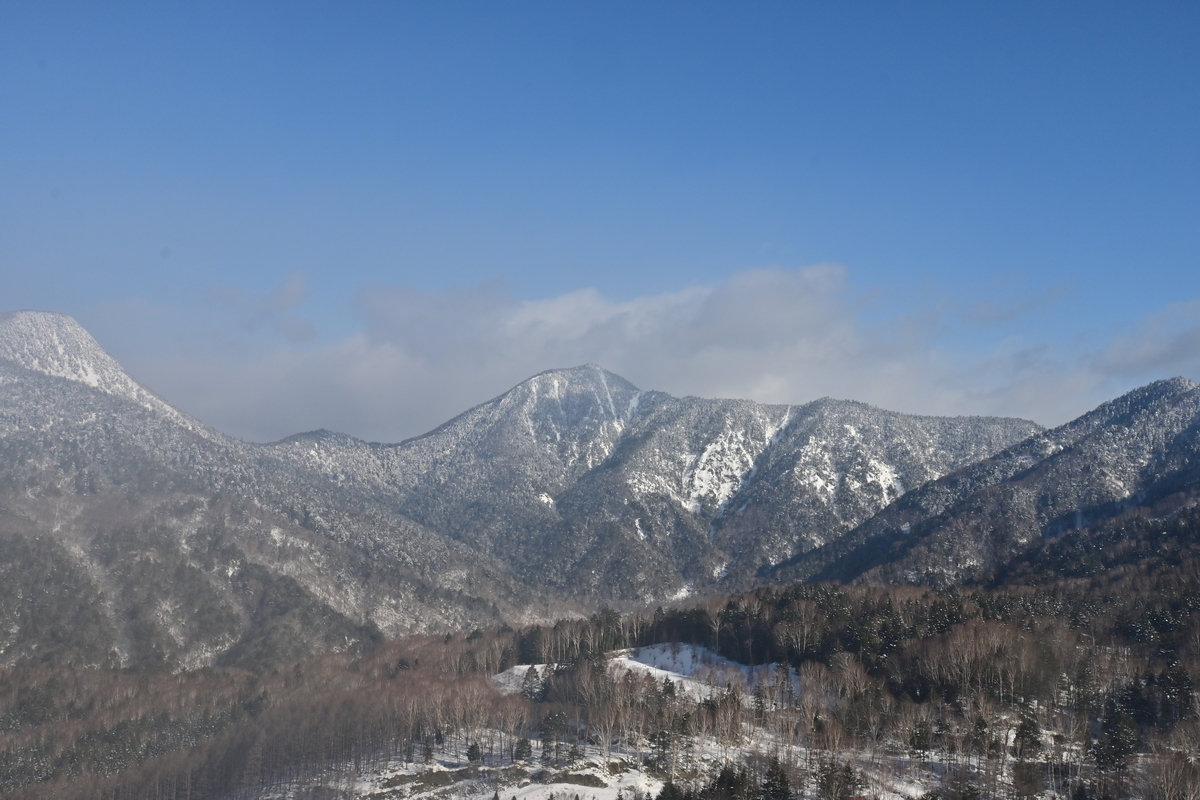 f:id:psato7:20201229150035j:plain