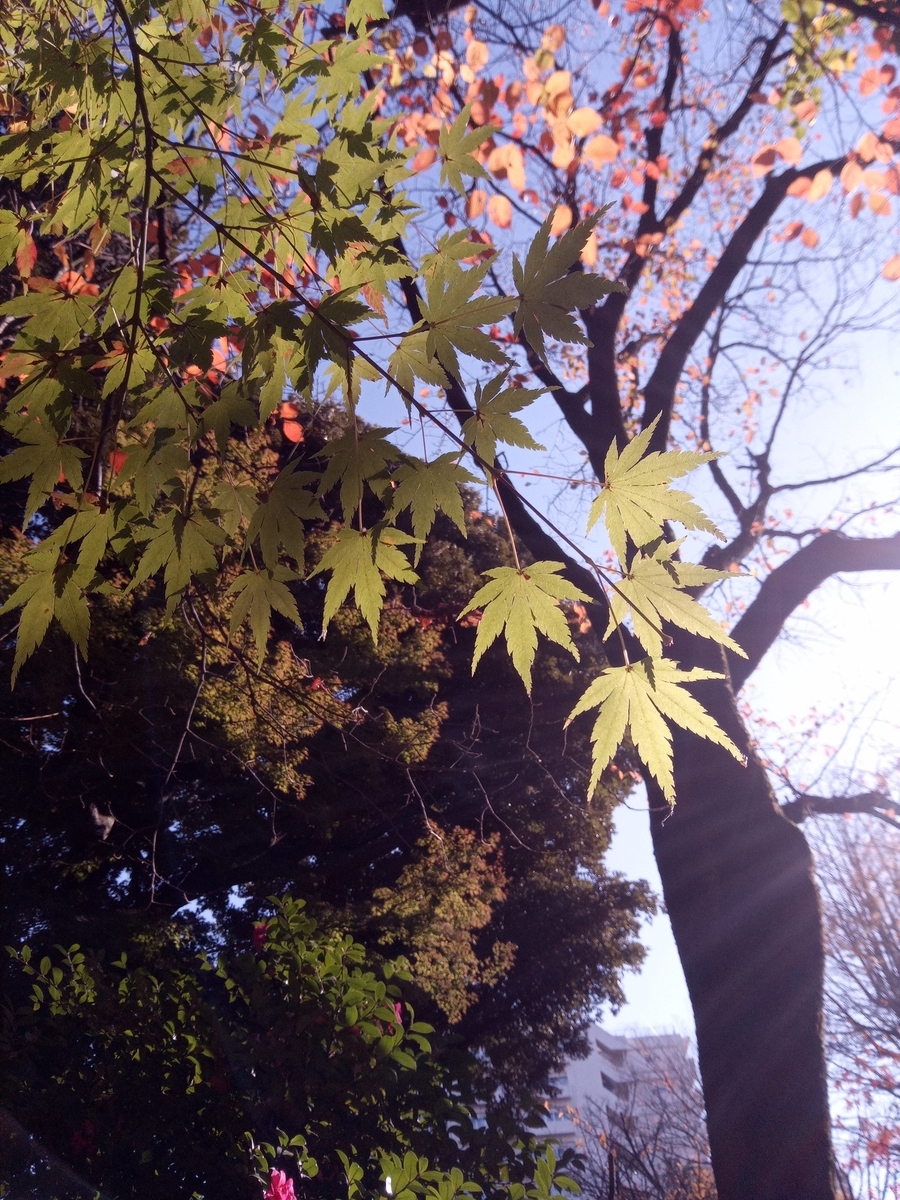 f:id:psato7:20210103090549j:plain