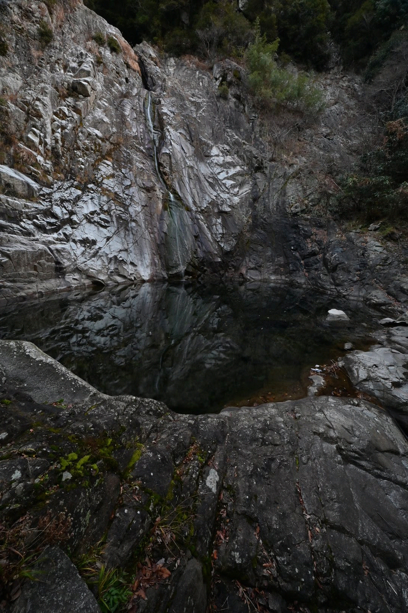 f:id:psato7:20210117071336j:plain